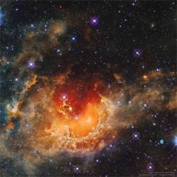 Star Formation in the Tadpole Nebula #nasa #apod #wise #irsa