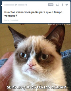 Vida de Vagabundo