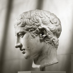 met-greekroman-art: Marble head of a youth by Polykleitos, Greek