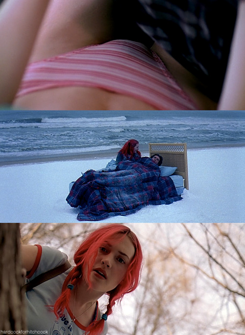 hardcockforhitchcock:  “What a loss to spend that much time with someone, only to find out that she’s a stranger.” -Eternal Sunshine of the Spotless Mind (2004)