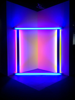 non-dues:  Dan Flavin - (installation at Expo Chicago 2010)