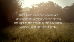 dynamicafrica:  Gullah Storyteller and Historian Theresa Jenkins