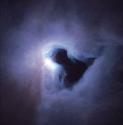 the-midnight-sky:  Nebula NGC 1999 (source) 