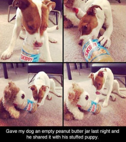 aplacetolovedogs:  Awwww he wanted to share his peanut butter!