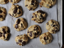 wehavethemunchies:  Chunky Chocolate Chip-Walnut Cookies 