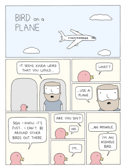 pdlcomics:  Bird On a Plane    Poorly Drawn Lines by Reza Farazmand[website | tumblr | twitter | facebook]