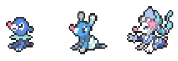 prince-primarina:  Box/Party Sprites for Popplio, Brionne, and