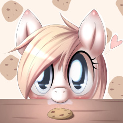 sillyaryanne:  Cookies~<3  D’aww~