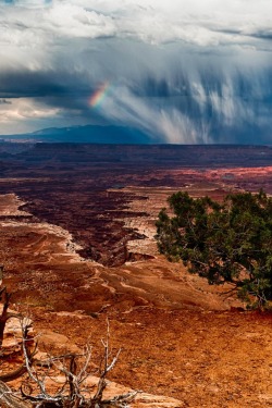 sublim-ature:  Canyonlands NP, UtahJonathan Zdziarski 