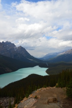 greatwideworldphoto:  Beautiful Peyto Lake  - Great Wide World