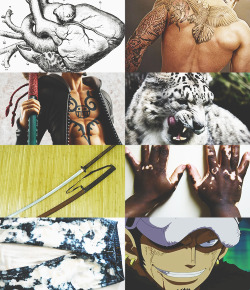 youngreinhardt: one piece aesthetics; trafalgar d. water law.