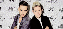 archieandrewx:  Liam & Niall attend the private launch of