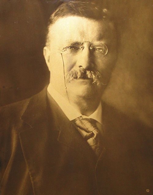 blondebrainpower:U.S. President Theodore Roosevelt, 1904, orotone
