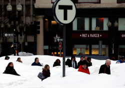 kacey-bellamy:pipistrellus:climateadaptation:Boston.soon they