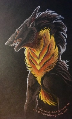 pallanophblargh:  A quick colored pencil study I did of Onyx,
