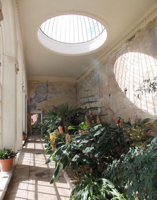 sabonhomeblog:Calke Abbey Orangery