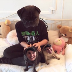 hikaruhowell:  What am i doing with my life danisnotonfire