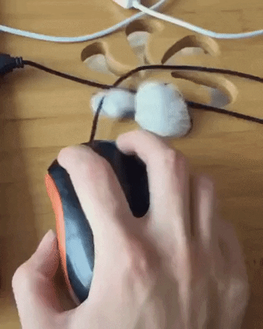 googifs:  Kitty mittens go through floral fittings.