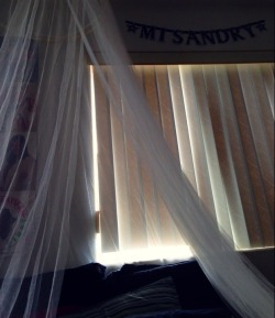 Guys, there’s a canopy above my bed because I’m a ~queen~