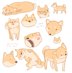 hamotzi:some doggies before bed!! these guys are pretty popular