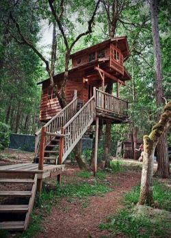 dailycoolhouses:  126 Amazing Tree Houses Ideas: http://www.betterdesignz.com/126-amazing-tree-houses-ideas/