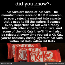 did-you-kno:  Kit Kats are made of Kit Kats. The  manufacturers
