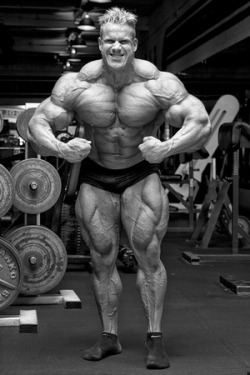 Jay Cutler