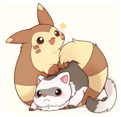 nacyle:  huiro:  Hug Furret <3  banzai-jinto   D’awww~!