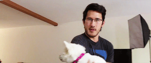 jamesangel:  space dog 