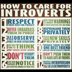 baba1991: #How #To #Care #For #Introverts 👨