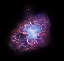 astronomyblog:   The Crab Nebula: A Cosmic Icon     A star’s