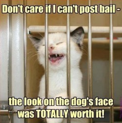 Incarcerated joy