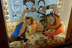 ninetail-fox:  ONE PIECE & Dragon Ball  ,Tokyo Station 