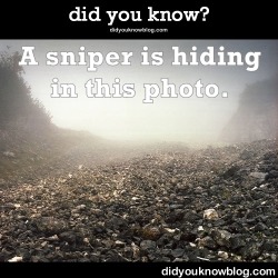 did-you-kno:  Snipers Are Hiding In All Of These Photos, But