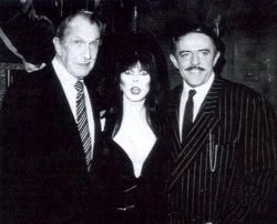 cryptofwrestling:  Vincent Price, Elvira, and John Astin