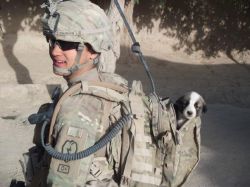 letslivlavlaf:  Pictures Of Soldiers And Their Rescued Pets Overseas