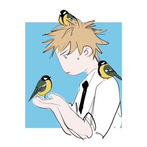 arinavah:  denji touching  t i t s 