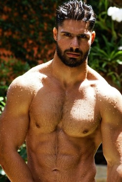 hunkville:  He strips to his trunks, then dives into the pool.
