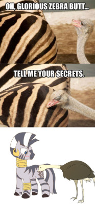 goombells:   In response to the zebra butt picture  Pretty much