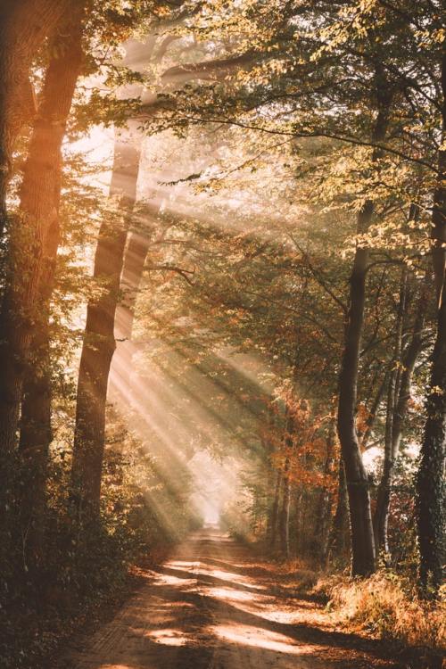 barefootnortherngirl:  virtuallyinsane-autumn:  Ingmar Hoogerhoud