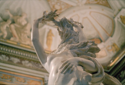 barcarole:Bernini’s Apollo and Daphne at the Galleria Borghese