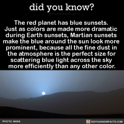 did-you-know:  The red planet has blue sunsets. Just as colors