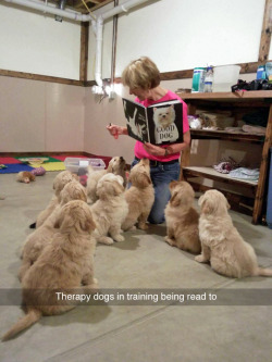 tastefullyoffensive:  (photo via therapy dogs inc.)