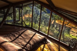 nonconcept:  Dream Cabin Loft, Wollemi Cabins, Blue Mountains,