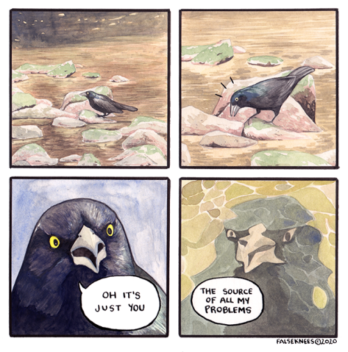 falseknees: Oh you