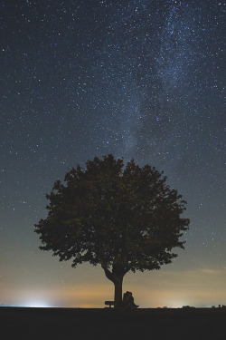 visualechoess:  kissing under a lonely tree - by: Nina Maiores