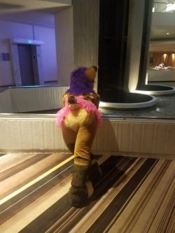 fursuitpursuits:RT @FursuitButts01: Lets bring one of the most