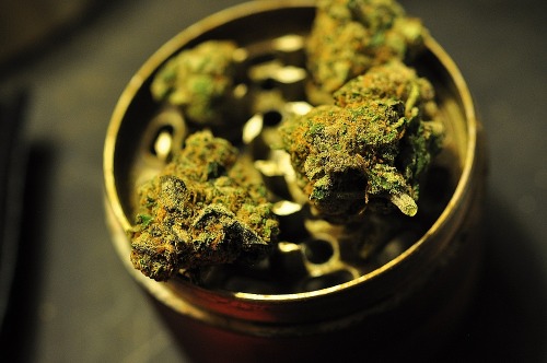 godshideouscreation:  what i’m about to smoke ;)