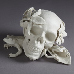 pankurios-templeovarts:   Fine objects/sculptures by Kate MacDowell.