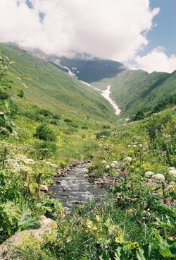 diogofalmeida: Road from Ushguli to Lentekhi. Fuji Pro 400H Svaneti,